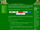 arcadiyacasino.com