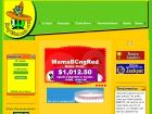 bingomexicano.com