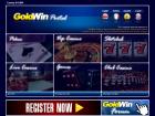 goldwinpoker.com