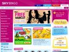 skybingo.com